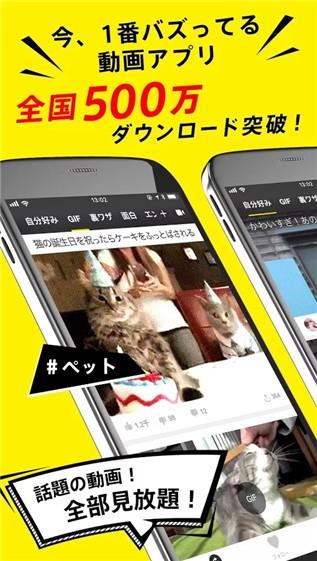 TopBuzz截图