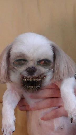 变脸僵尸(ZombieBooth)截图
