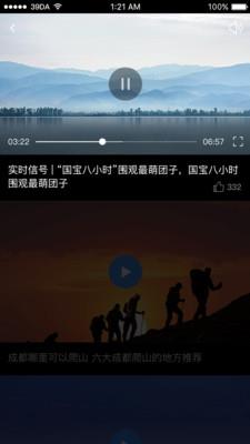 金熊猫截图