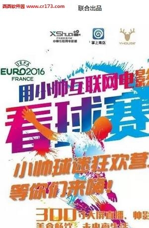 欧洲杯视频看大赛用小帅截图