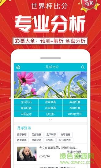世界杯比分