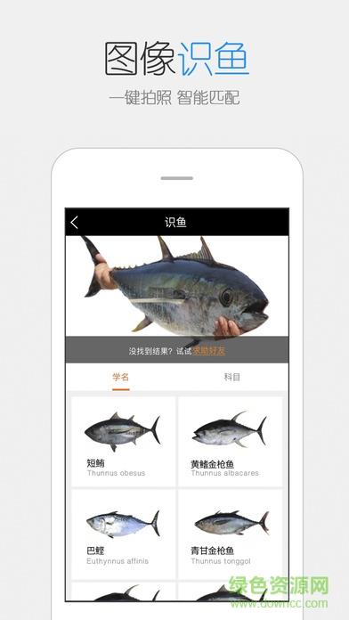 catches渔获截图