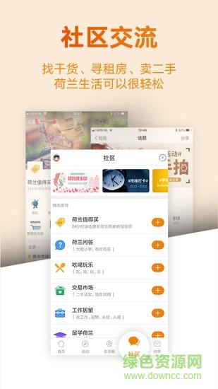 荷兰生活网截图
