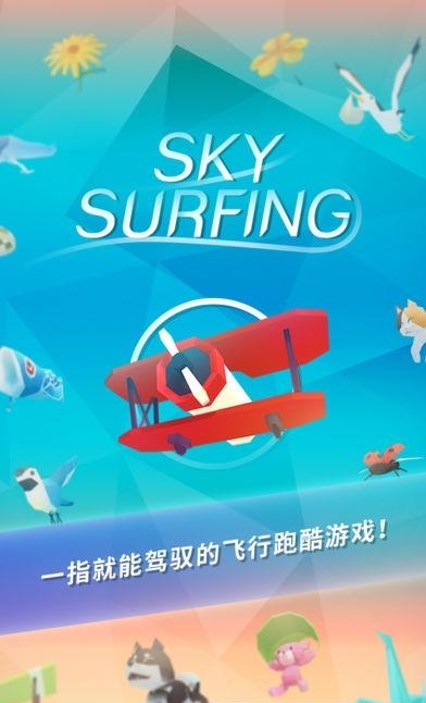 机浪Sky Surfing截图