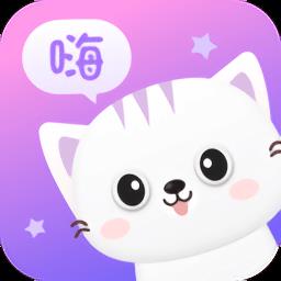 猫语翻译器