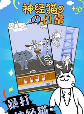 神经猫的日常