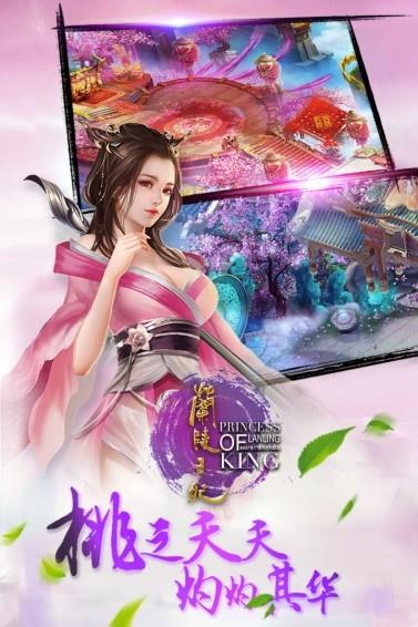 兰陵王妃百度版截图