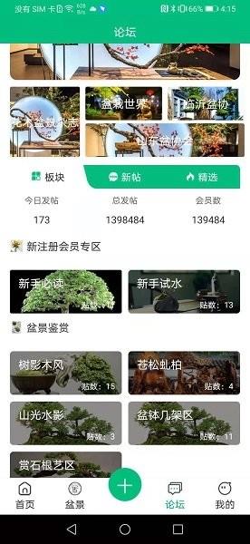 盆景世界