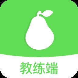 青梨教练