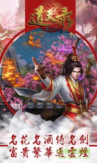 道天录天朝小将