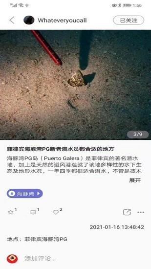 潜水指南moredive截图