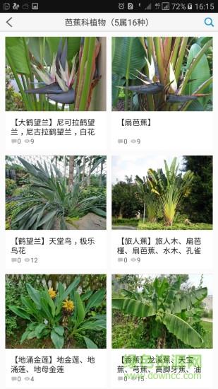 植物大全