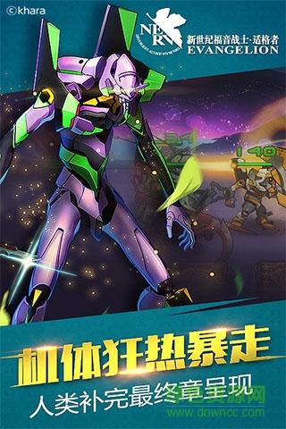 新世纪福音战士适格者果盘版