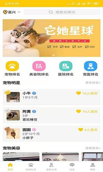 它她星球最新版截图