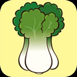 白菜装修