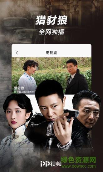 正版pp视频(看电视剧)