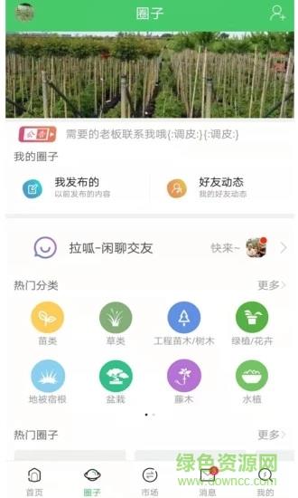 找苗网