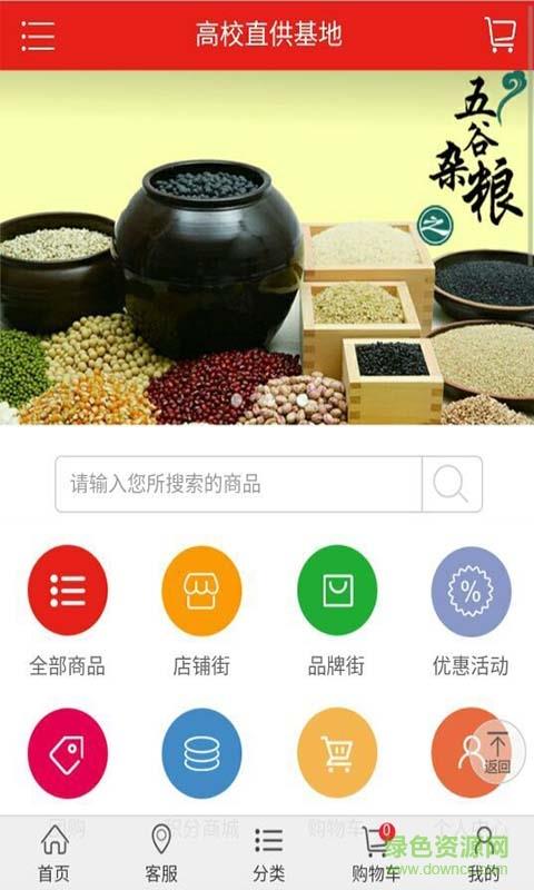 云竹绿蔬菜