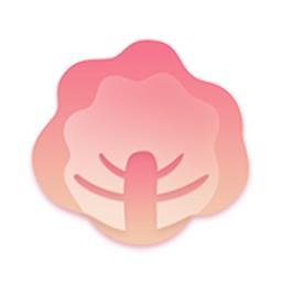 白菜精选
