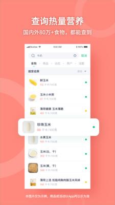 薄荷健康减肥