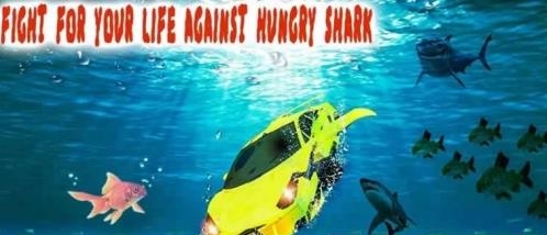 Underwater Flying Car Survival(水下飞行器生存)