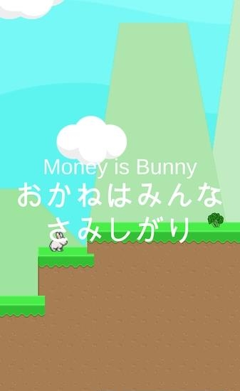 Money Is Bunny(有钱兔都是孤独的)