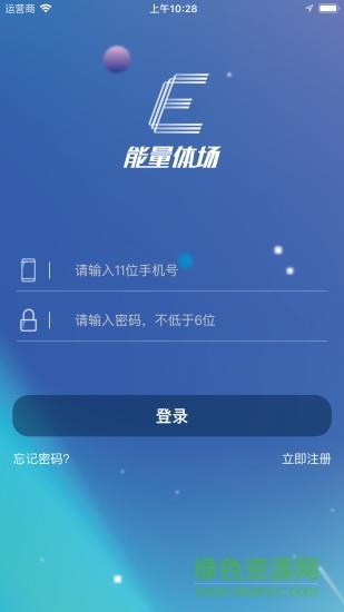 能量体场