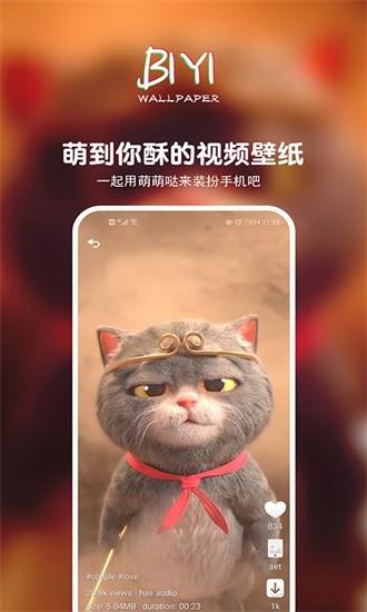 壁音视频壁纸截图