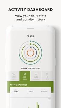 Fossil Q