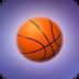 Dunk Basketball