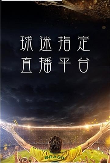 顶盛体育截图