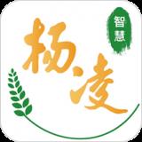 智慧杨凌