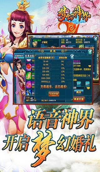 91版梦幻神界截图