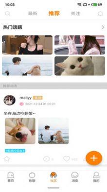 豚缘交友截图