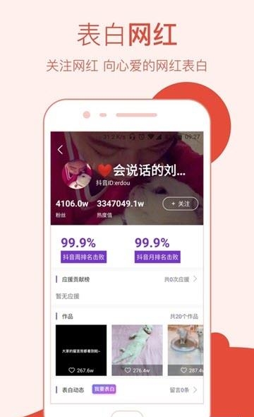网红造星猫