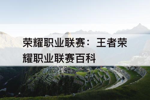 荣耀职业联赛：王者荣耀职业联赛百科