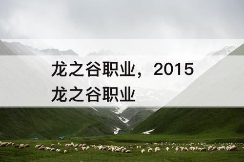 龙之谷职业，2015龙之谷职业