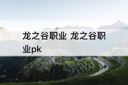 龙之谷职业 龙之谷职业pk