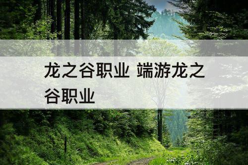 龙之谷职业 端游龙之谷职业