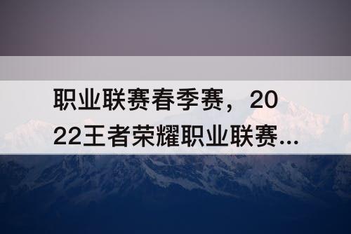 职业联赛春季赛，2022王者荣耀职业联赛春季赛
