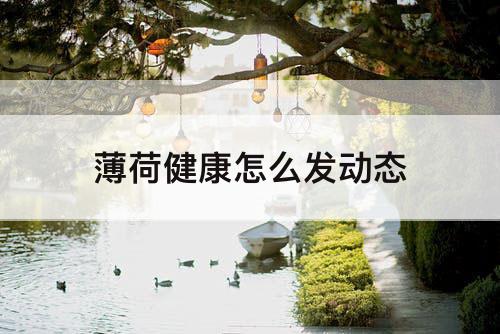 薄荷健康怎么发动态
