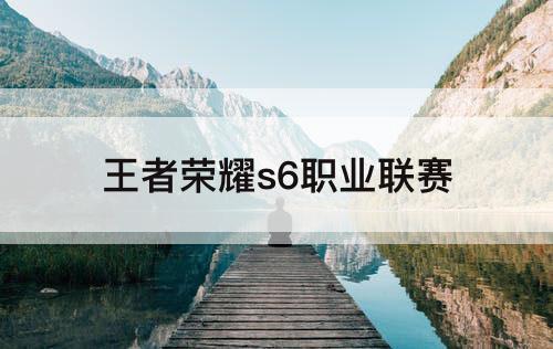 王者荣耀s6职业联赛