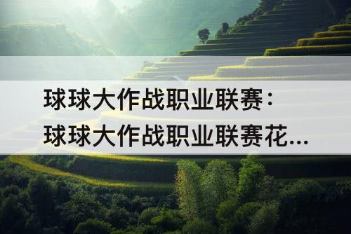球球大作战职业联赛：球球大作战职业联赛花式