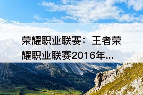 荣耀职业联赛：王者荣耀职业联赛2016年常规赛
