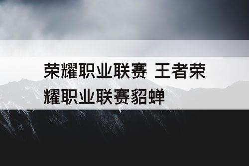 荣耀职业联赛 王者荣耀职业联赛貂蝉