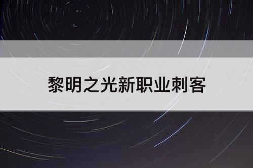 黎明之光新职业刺客