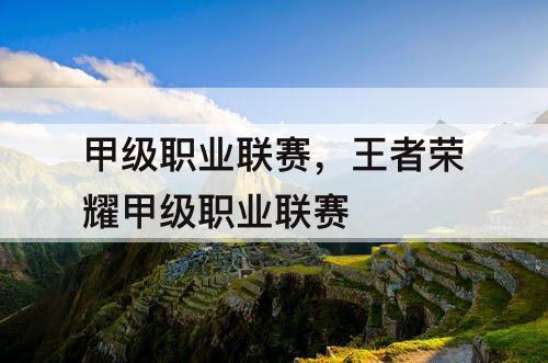 甲级职业联赛，王者荣耀甲级职业联赛