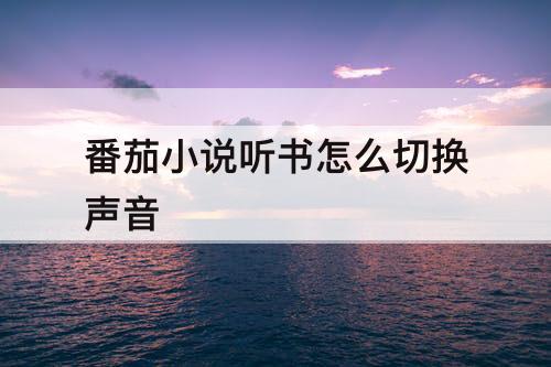 番茄小说听书怎么切换声音