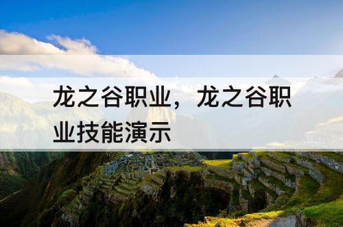 龙之谷职业，龙之谷职业技能演示