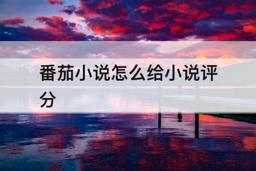 番茄小说怎么给小说评分